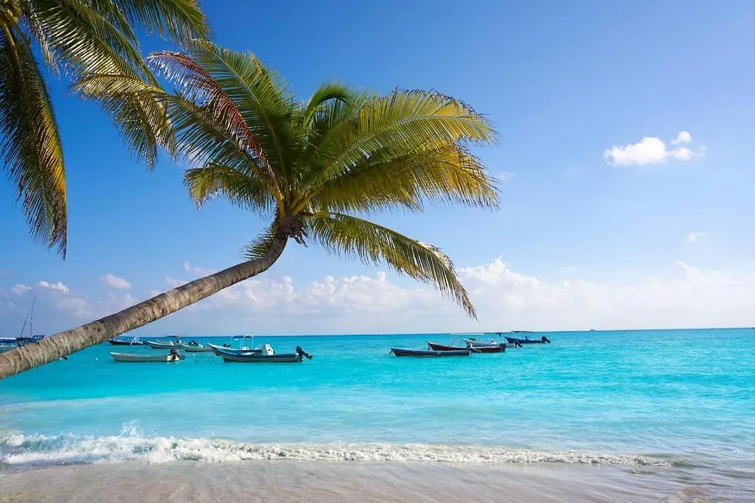 Experience Tranquility And Comfort, Walk 3 Min To The Beach Lafitte 0*,